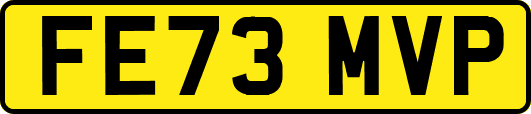 FE73MVP