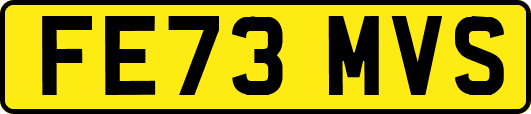 FE73MVS