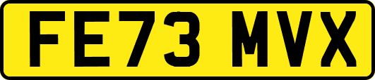 FE73MVX