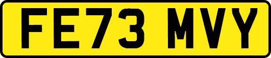 FE73MVY