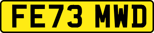FE73MWD