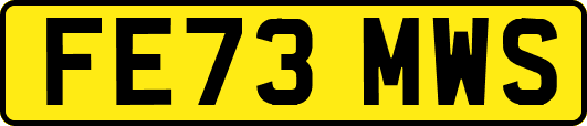 FE73MWS
