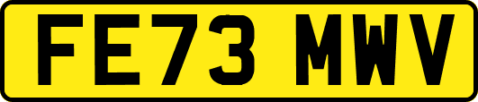 FE73MWV