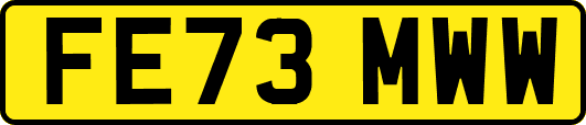 FE73MWW