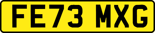 FE73MXG