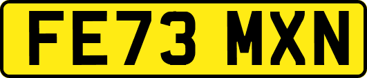 FE73MXN
