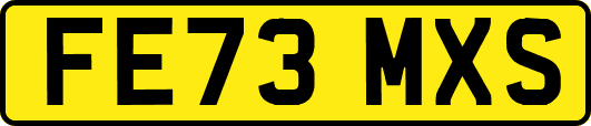 FE73MXS
