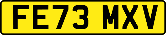 FE73MXV