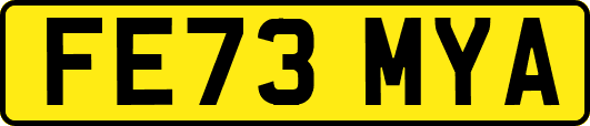 FE73MYA