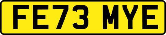 FE73MYE