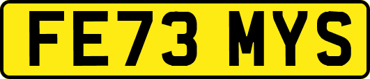 FE73MYS