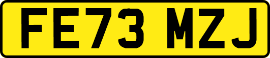 FE73MZJ