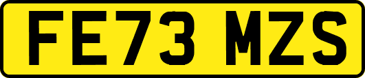 FE73MZS
