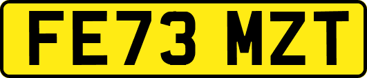 FE73MZT