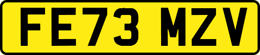FE73MZV