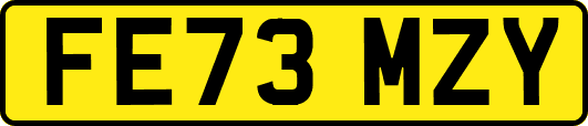 FE73MZY