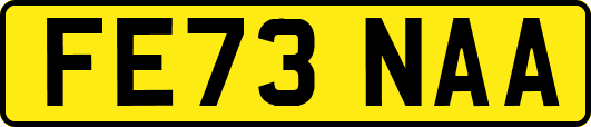 FE73NAA