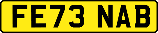 FE73NAB