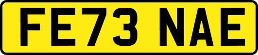 FE73NAE
