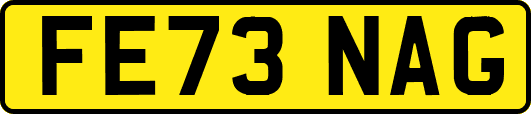 FE73NAG