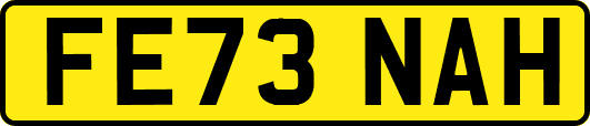 FE73NAH