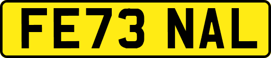 FE73NAL