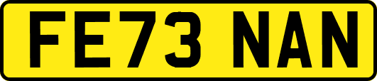 FE73NAN