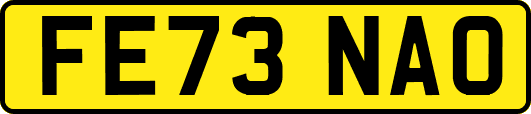 FE73NAO