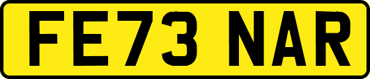 FE73NAR