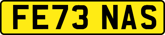 FE73NAS