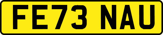 FE73NAU