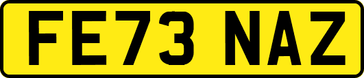 FE73NAZ