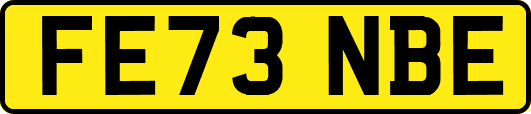 FE73NBE