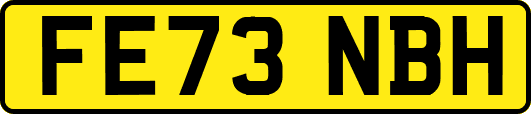 FE73NBH