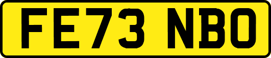 FE73NBO