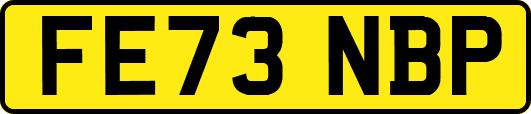 FE73NBP