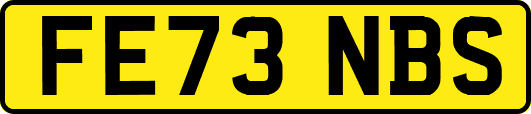 FE73NBS