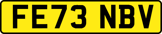 FE73NBV