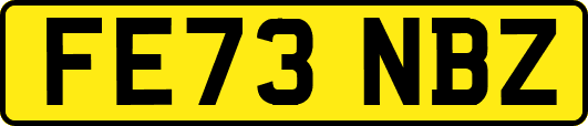 FE73NBZ