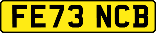 FE73NCB