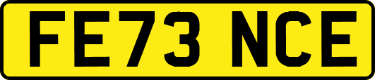 FE73NCE