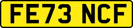 FE73NCF