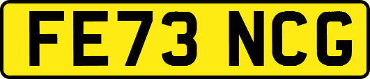 FE73NCG