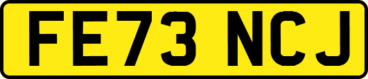 FE73NCJ