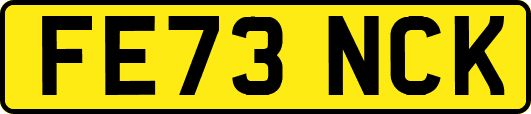 FE73NCK