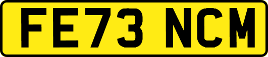 FE73NCM