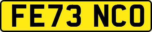 FE73NCO