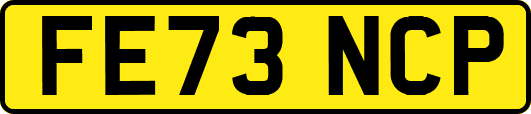 FE73NCP