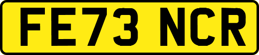 FE73NCR