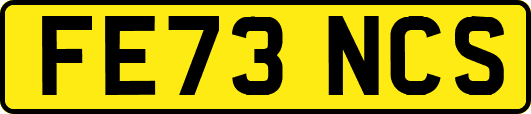 FE73NCS
